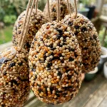 Easter Egg Bird Feeder 6 Steps Easy Amazing